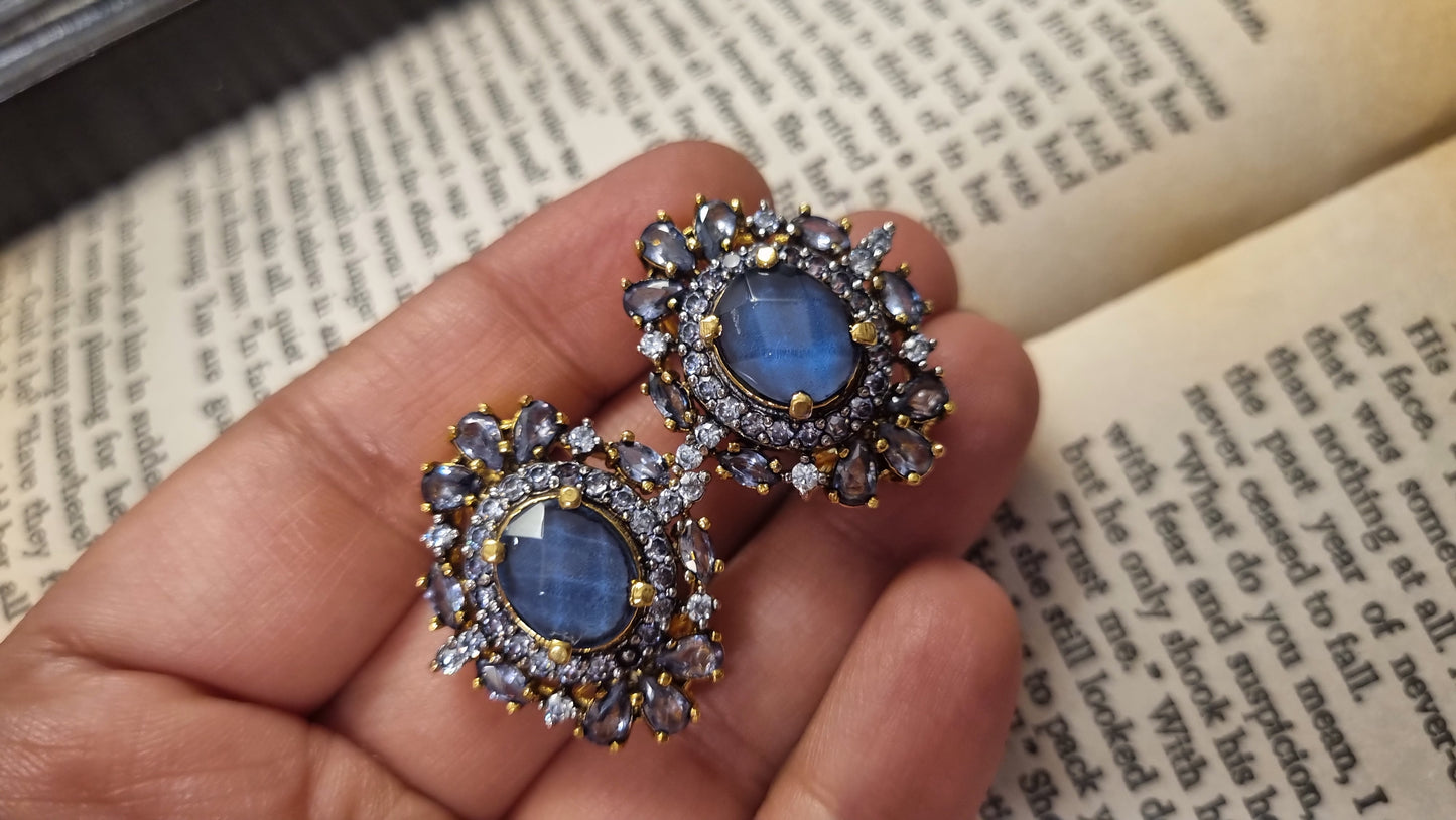 PURPLISH PLUE EARRINGS