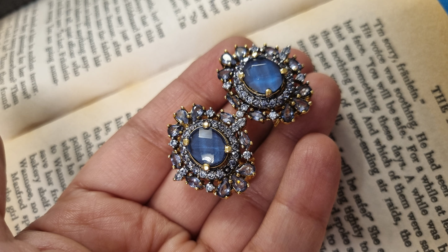 PURPLISH PLUE EARRINGS
