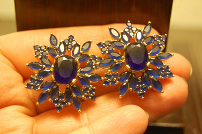 ELEGANT BLUE EARRINGS