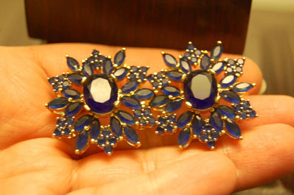 ELEGANT BLUE EARRINGS