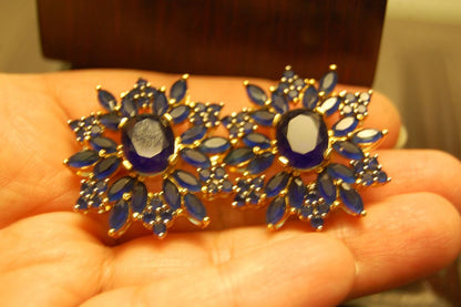 ELEGANT BLUE EARRINGS