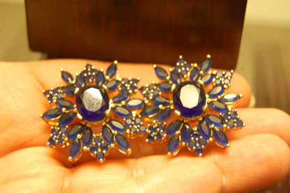ELEGANT BLUE EARRINGS