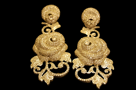 ELEGANT ZIRCON & EARRINGS